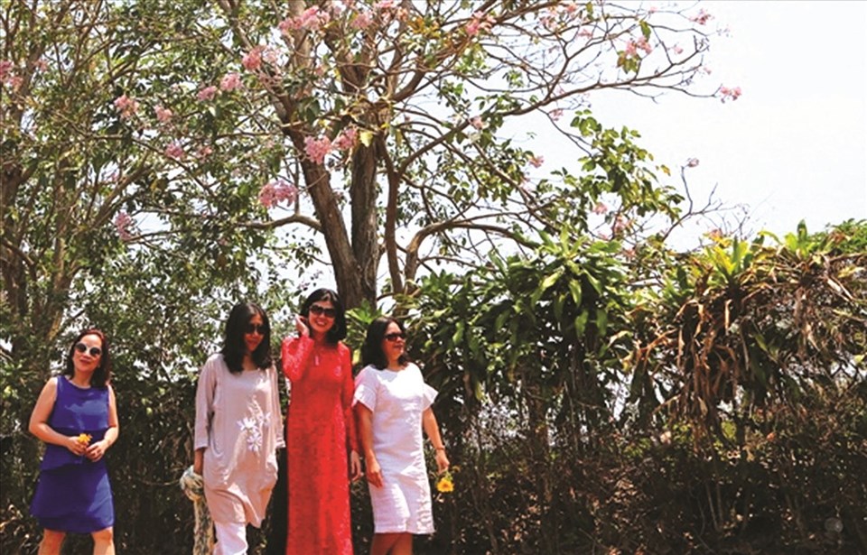 Ảnh minh họa: Đ.N Ảnh minh họa: Đ.N