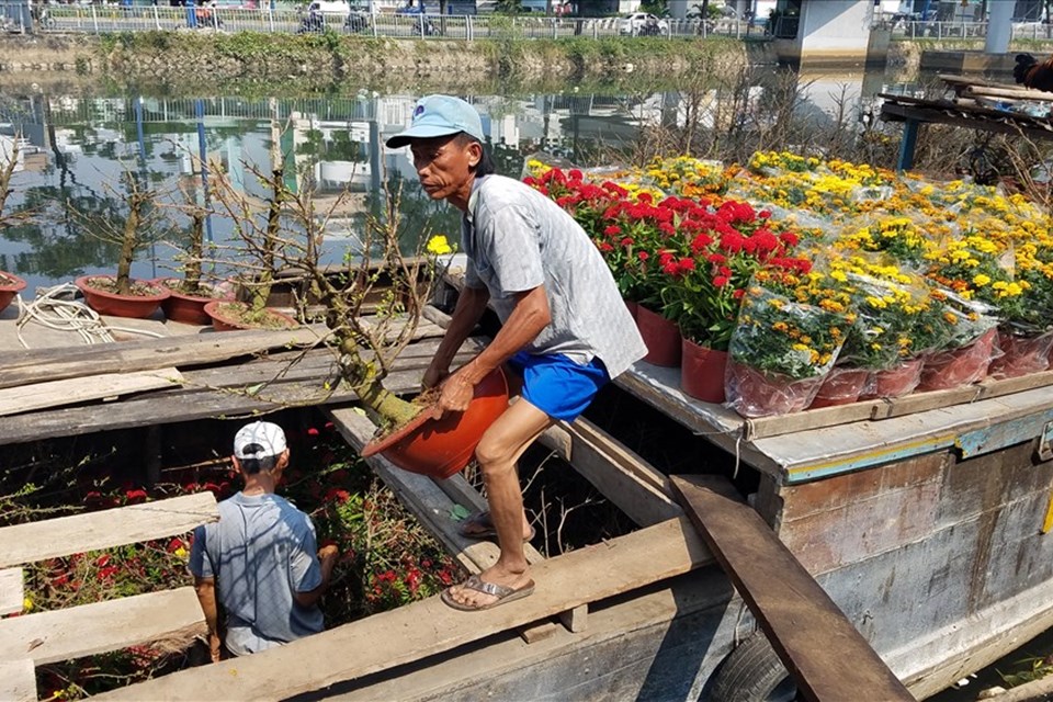 Chợ hoa bến Bình Đông những ngày cận Tết Chợ hoa bến Bình Đông những ngày cận Tết