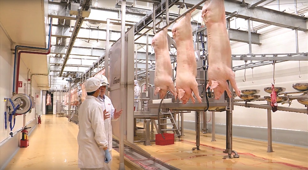 Tổ hợp chế biến thịt MEAT Hà Nam.