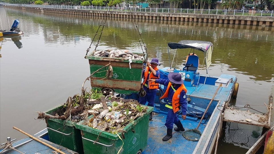 Vớt cá chết trên kênh Nhiêu Lộc - Thị Nghè Vớt cá chết trên kênh Nhiêu Lộc - Thị Nghè