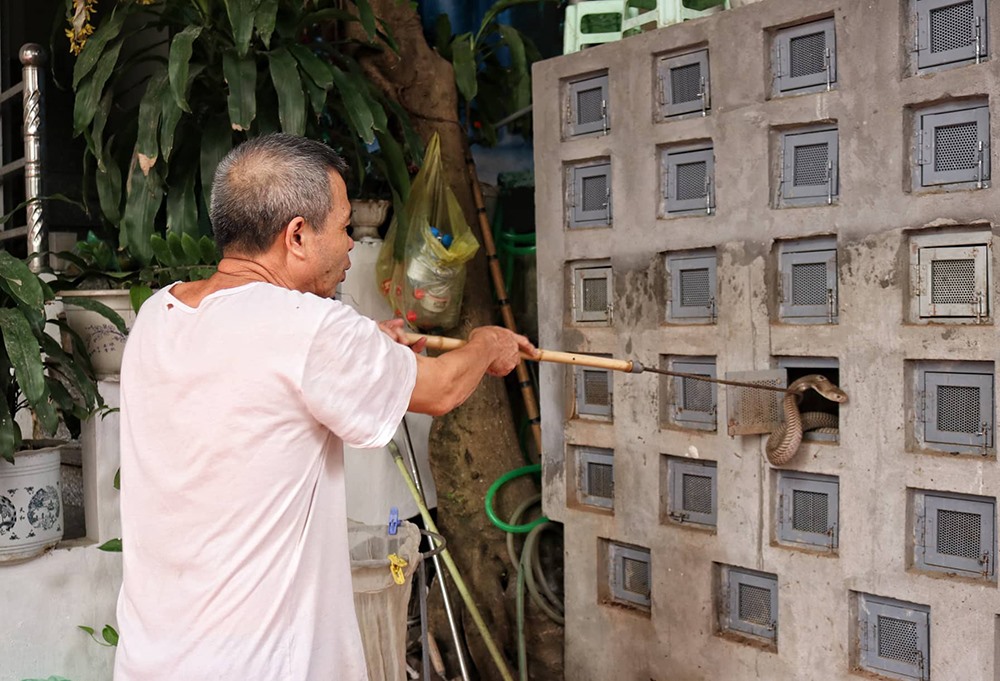 Ông Trương Bá Mao bên chuồng rắn của mình.