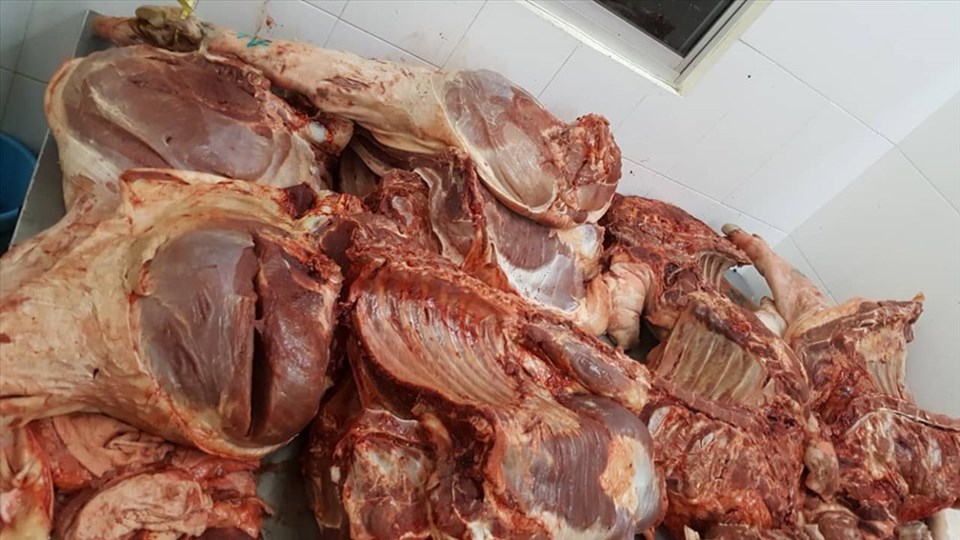 Thịt lợn bệnh được phát hiện kịp thời, ngăn chặn vào chợ đầu mối tiêu thụ. Ảnh: CTV Thịt lợn bệnh được phát hiện kịp thời, ngăn chặn vào chợ đầu mối tiêu thụ. Ảnh: CTV