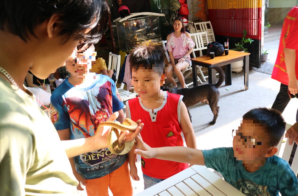 Các em thích thú với một loài bò sát