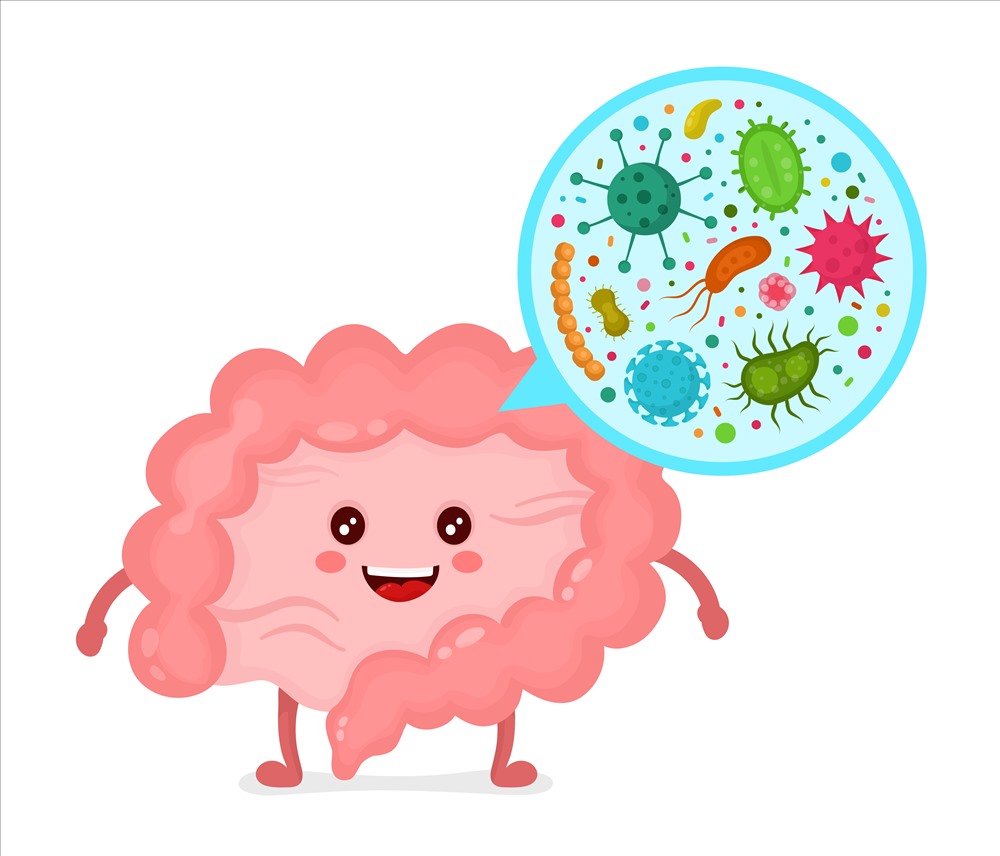Probiotics là thành phần chủ chốt trong chế độ dinh dưỡng phục vụ sự phát triển của trí não ở trẻ em.