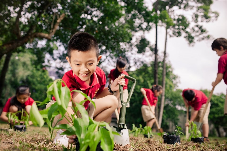 Dự án gồm nhiều hoạt động thiết thực như giảm thiểu và phân loại rác thải, tiết kiệm năng lượng, trồng cây xanh… giúp học sinh hình thành một lối sống xanh của thế hệ cộng dân văn minh. Dự án gồm nhiều hoạt động thiết thực như giảm thiểu và phân loại rác thải, tiết kiệm năng lượng, trồng cây xanh… giúp học sinh hình thành một lối sống xanh của thế hệ cộng dân văn minh.