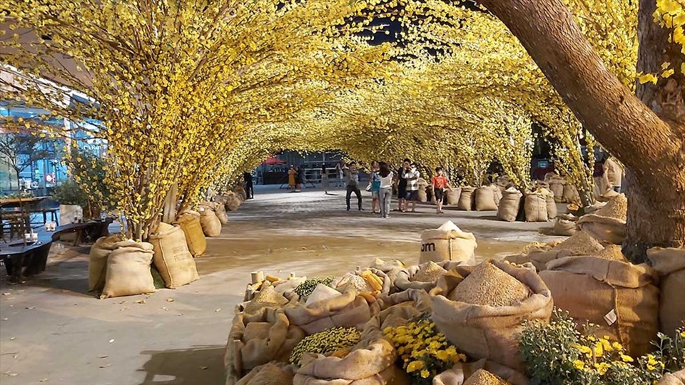 “Đường hoa Mai vô cực” tại Nhà Văn hóa Thanh niên TPHCM. Ảnh: QUỲNH NHƯ “Đường hoa Mai vô cực” tại Nhà Văn hóa Thanh niên TPHCM. Ảnh: QUỲNH NHƯ
