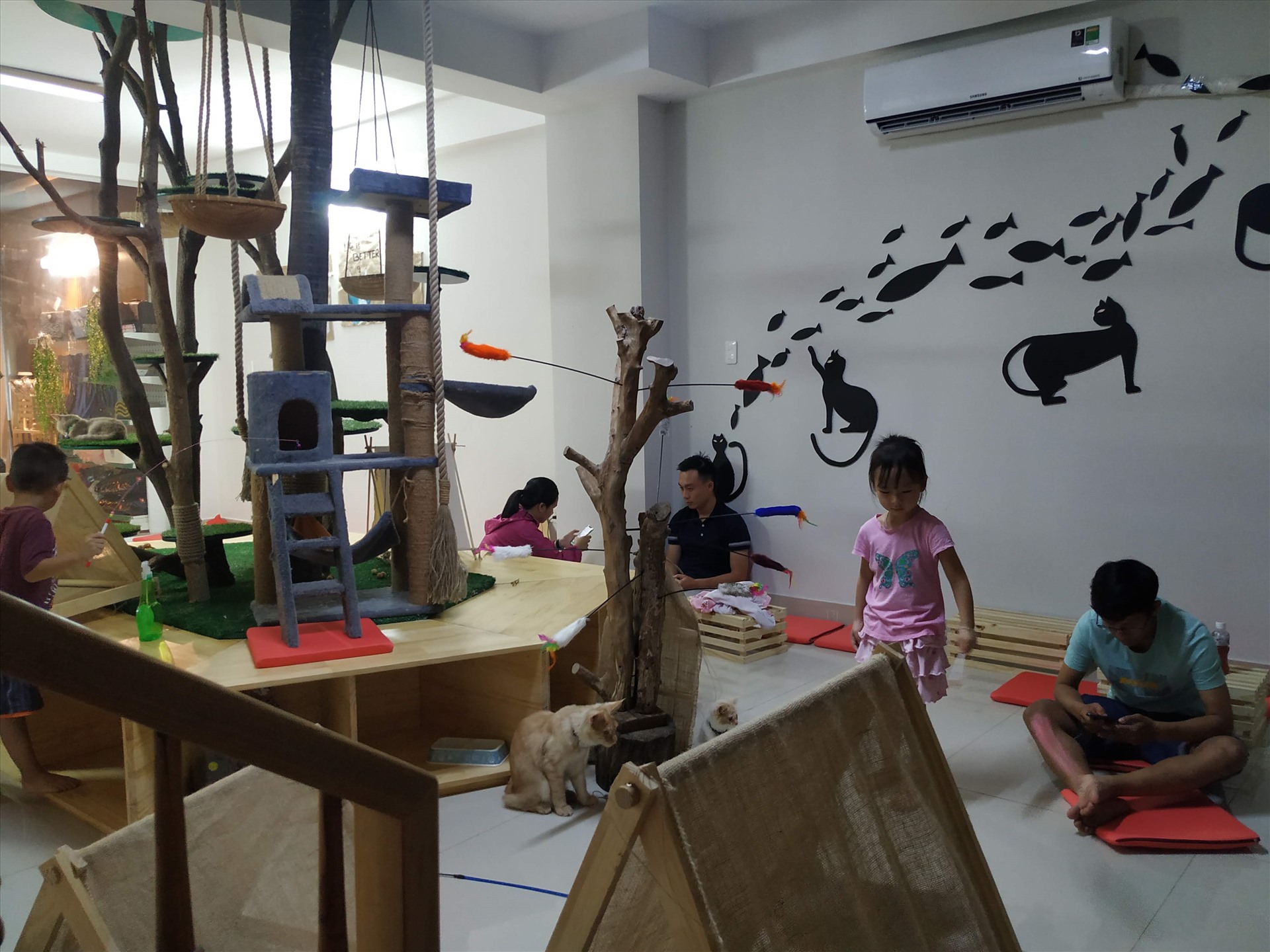 Phụ huynh đưa trẻ đến chơi, trải nghiệm với thú cưng (ảnh Minh Khang)
