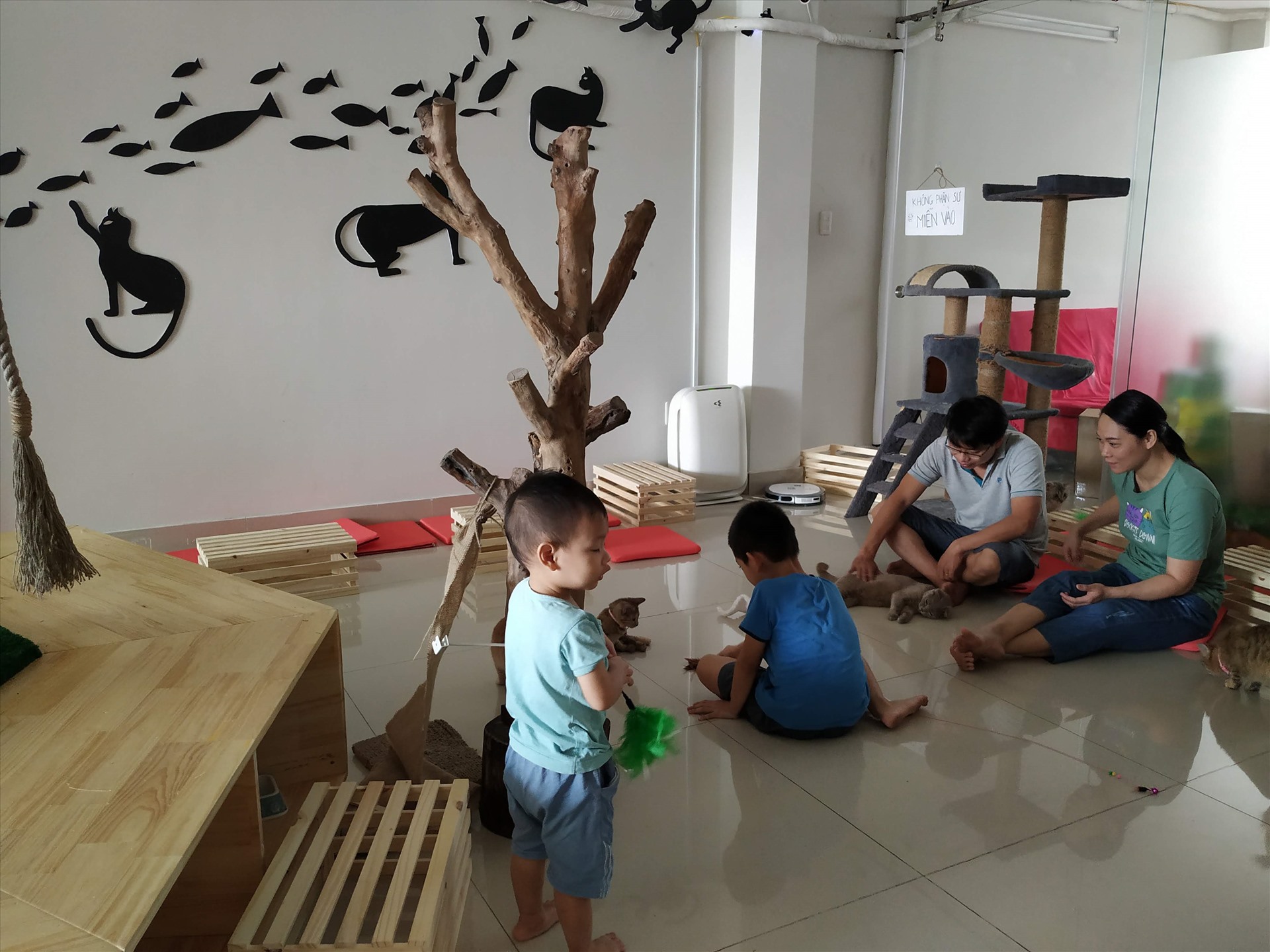 Không gian trải nghiệm để người và mèo được giao lưu, chơi đùa thoải mái trong khu vực. (ảnh: Minh Khang)