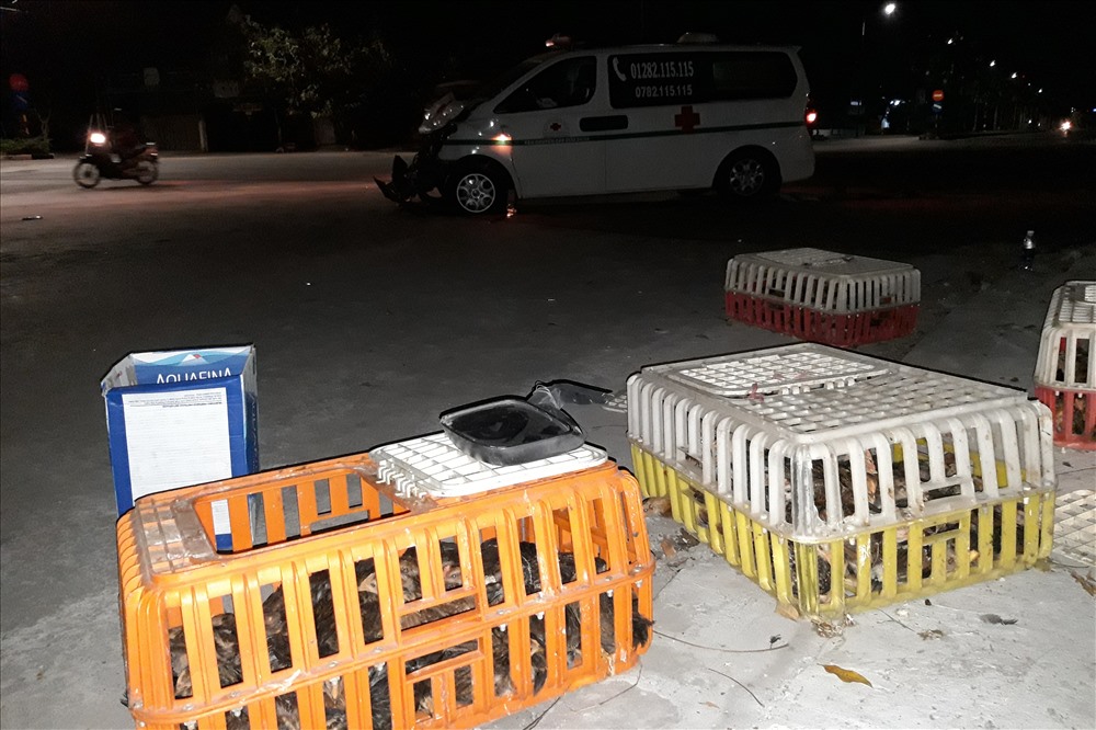 Hiện trường vụ tai nạn giữa xe cấp cứu và xe tải chở gia cầm.