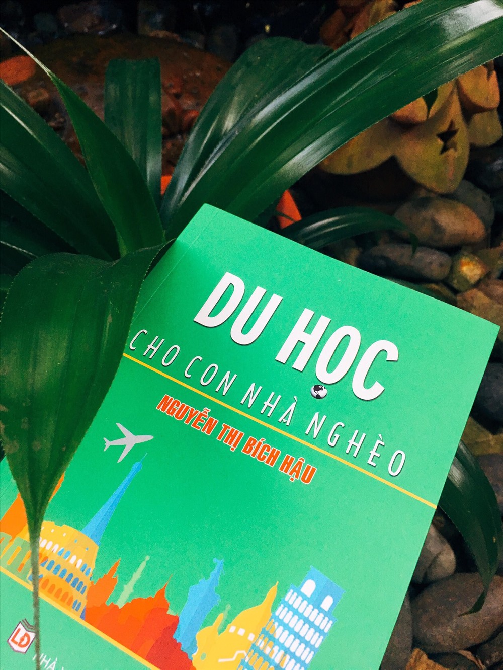 Tác giả, nhà văn Nguyễn Thị Bích Hậu.