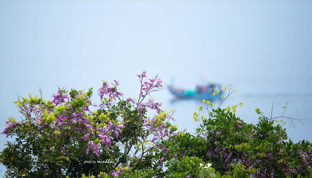 Ảnh: Phan Minh Hải