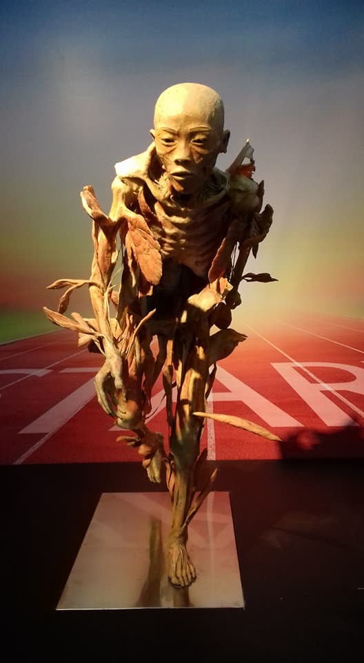Mẫu vật