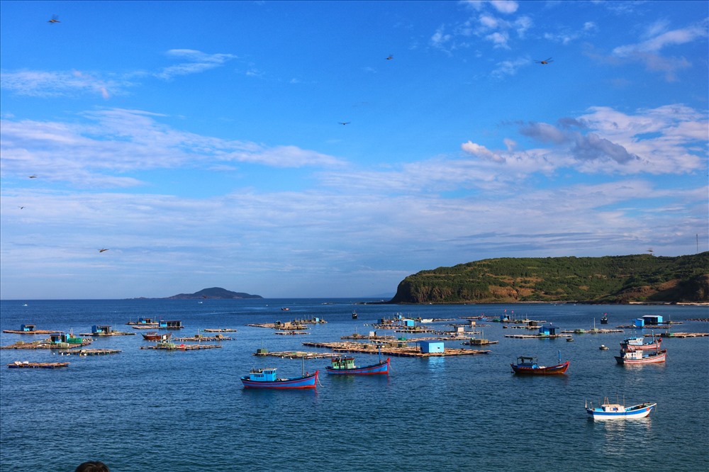 Biển Ghềnh Đá Đĩa