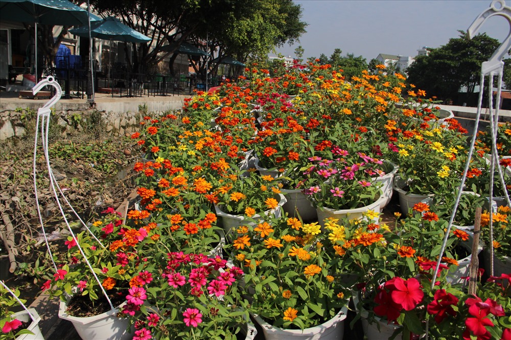 Thuyền hoa làm cho bến sông trở nên rực rỡ.