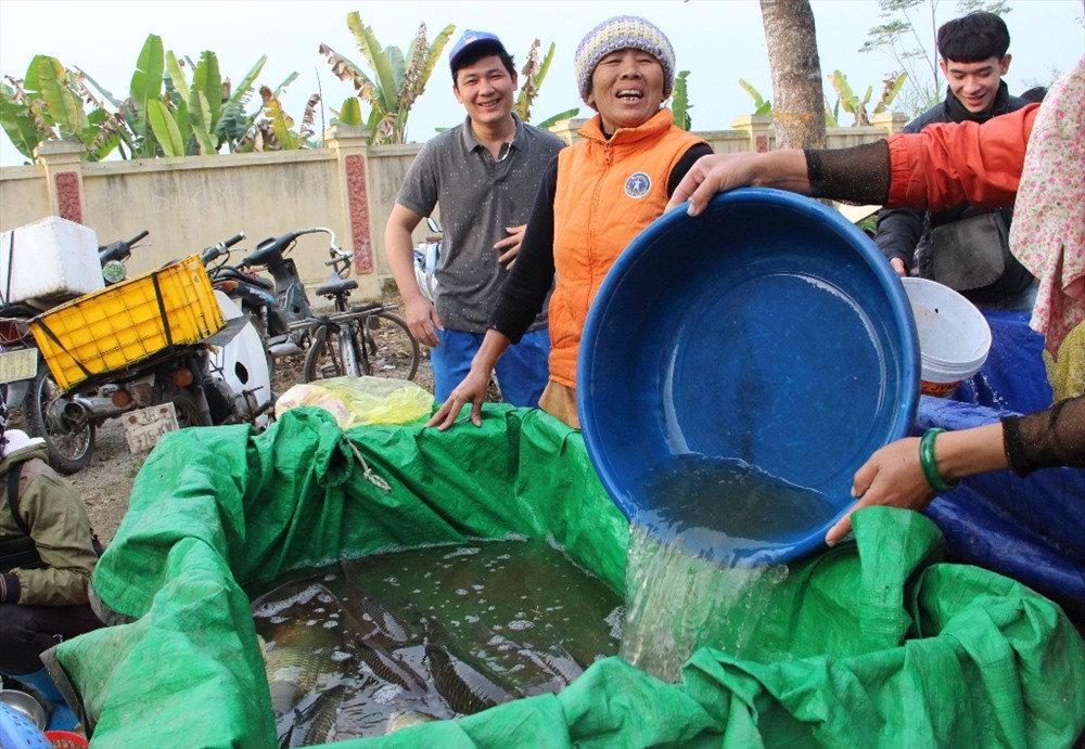 Khu hàng cá, người dân chọn ngững con cá tươi nguyên vừa được bắt từ dưới ao lên.