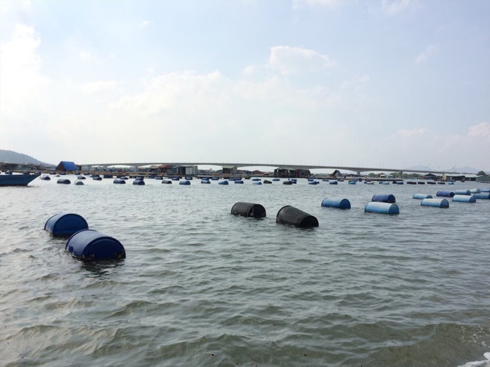 Khung cảnh ra đảo rất đẹp
