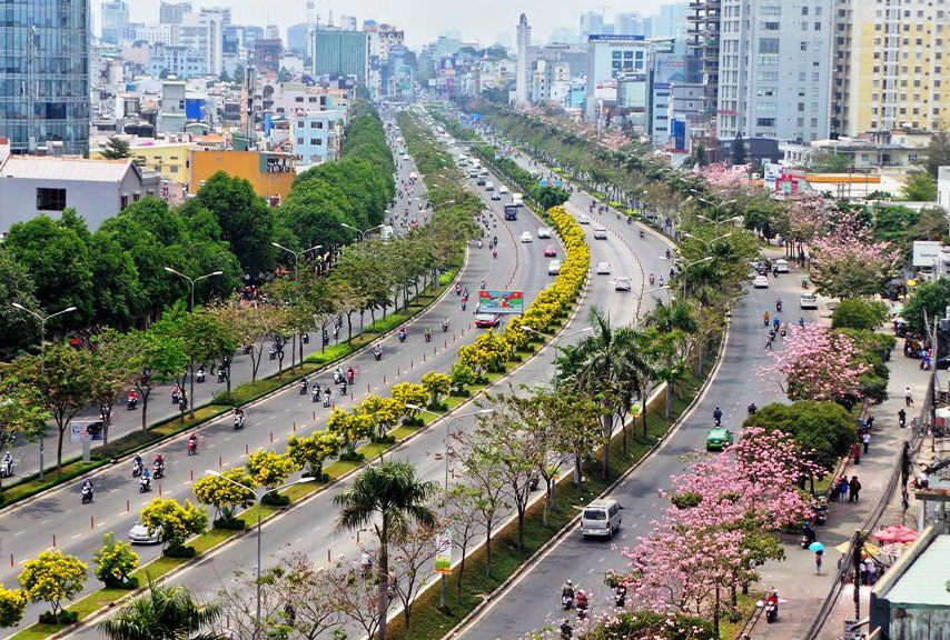 Những ngày này, đi dọc con đường Điên Biên Phủ, quận Bình Thạnh, TPHCM, nhiều người không khỏi ngạc nhiên khi thấy cả tuyến đường một màu hồng phấn của hoa kèn hồng. Hoa Kèn hồng có nguồn gốc từ Châu Mỹ còn có tên gọi khác là hoa Chuông hồng, được trồng thử nghiệm tại TP HCM từ năm 2009 đến nay. Kèn hồng có màu sắc tựa như hoa anh đào, là một loại hoa thường nở vào đầu tháng 4 và kéo dài cho đến tháng 6 mỗi năm.