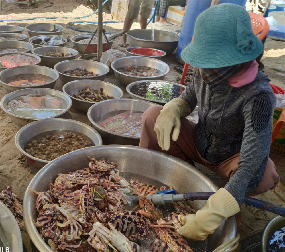 Hải sản rất tươi