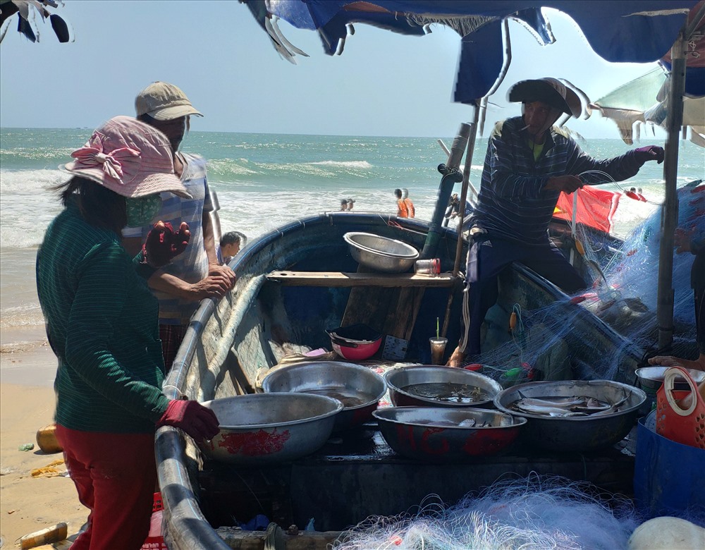 Có thuyền vào mua ngay sẽ được hải sản rất tươi ngon