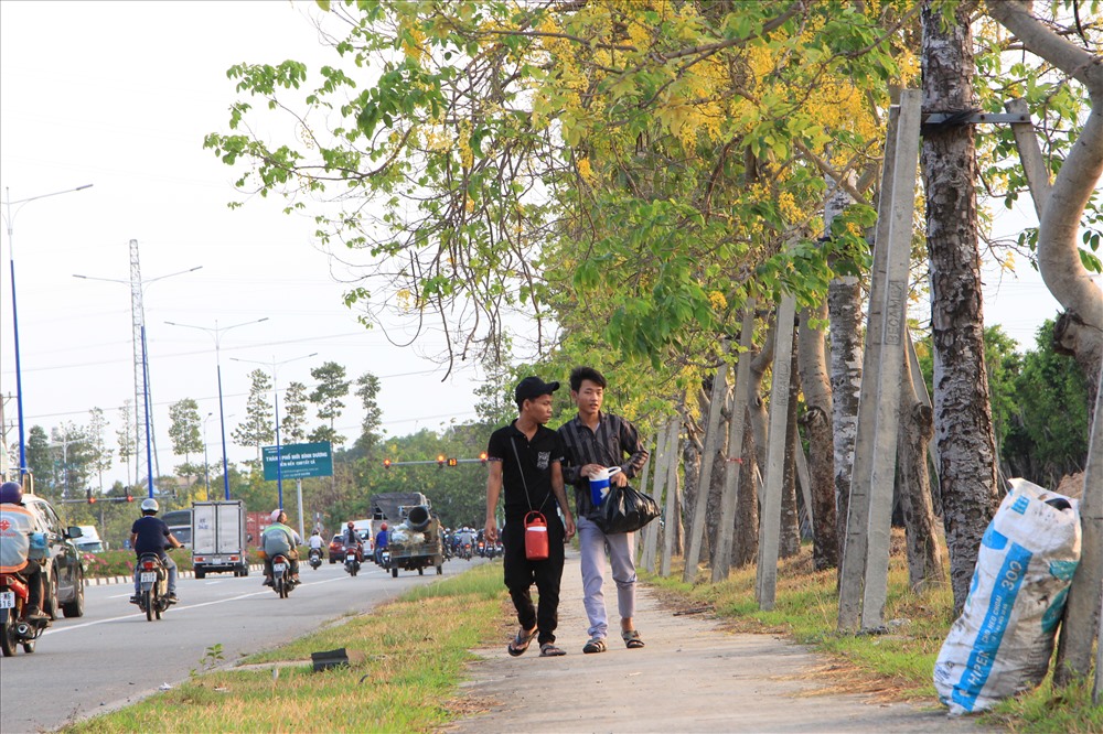 Công nhân bước bộ đi làm về dưới tán hoa.