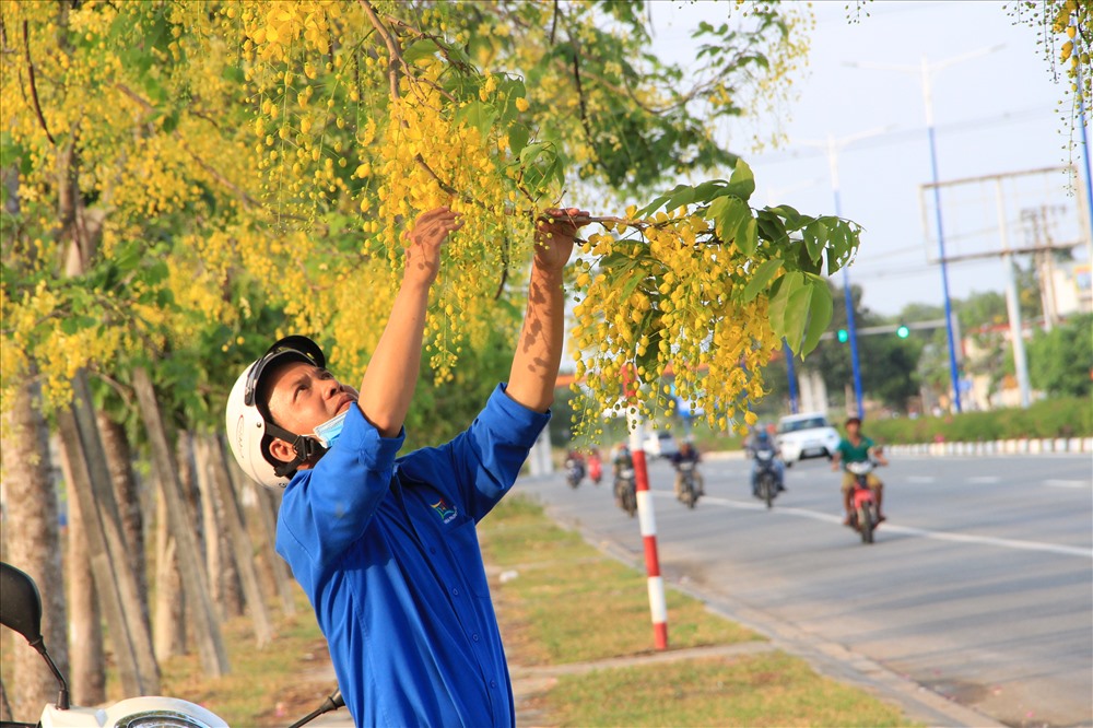 Anh Nguyễn Văn Hùng (40 tuổi, ngụ Bình Dương) làm việc trong khu công nghiệp Kim Huy cho biết đã 4 năm hoa bọ cạp vàng bung nở trên đường này. Mỗi ngày đi làm về anh Hùng dừng chân nghỉ ngơi.