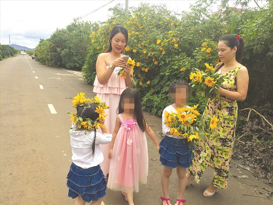 Ảnh minh họa: Đ.N Ảnh minh họa: Đ.N