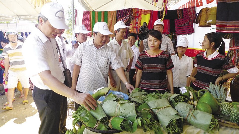 Quảng Nam đề nghị đưa cây sâm Ngọc Linh lên thành nền công nghiệp sâm Việt Nam. Quảng Nam đề nghị đưa cây sâm Ngọc Linh lên thành nền công nghiệp sâm Việt Nam.