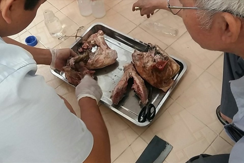 Phát hiện các mẫu thịt lợn bị nhiễm ấu trùng sán, ảnh: minh họa Phát hiện các mẫu thịt lợn bị nhiễm ấu trùng sán, ảnh: minh họa